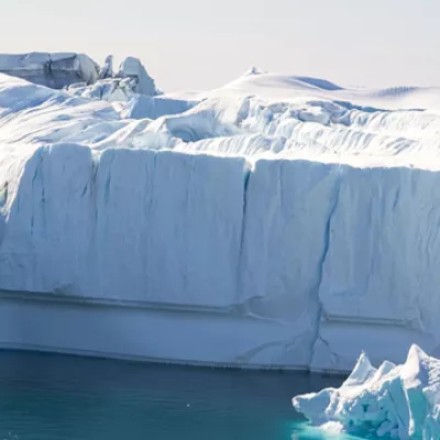 The Arctic