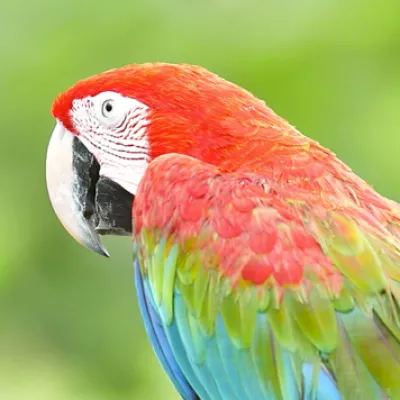 Why we love our planet!